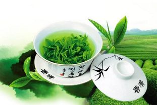 孕婦可以喝茶嗎？茶葉對孕期的影響和注意事項