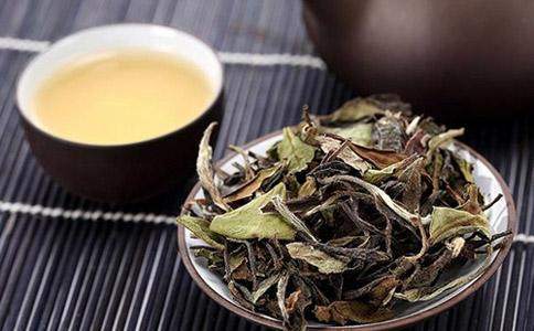 品鑒貢眉茶 不只飲品，更是雅致生活的藝術品